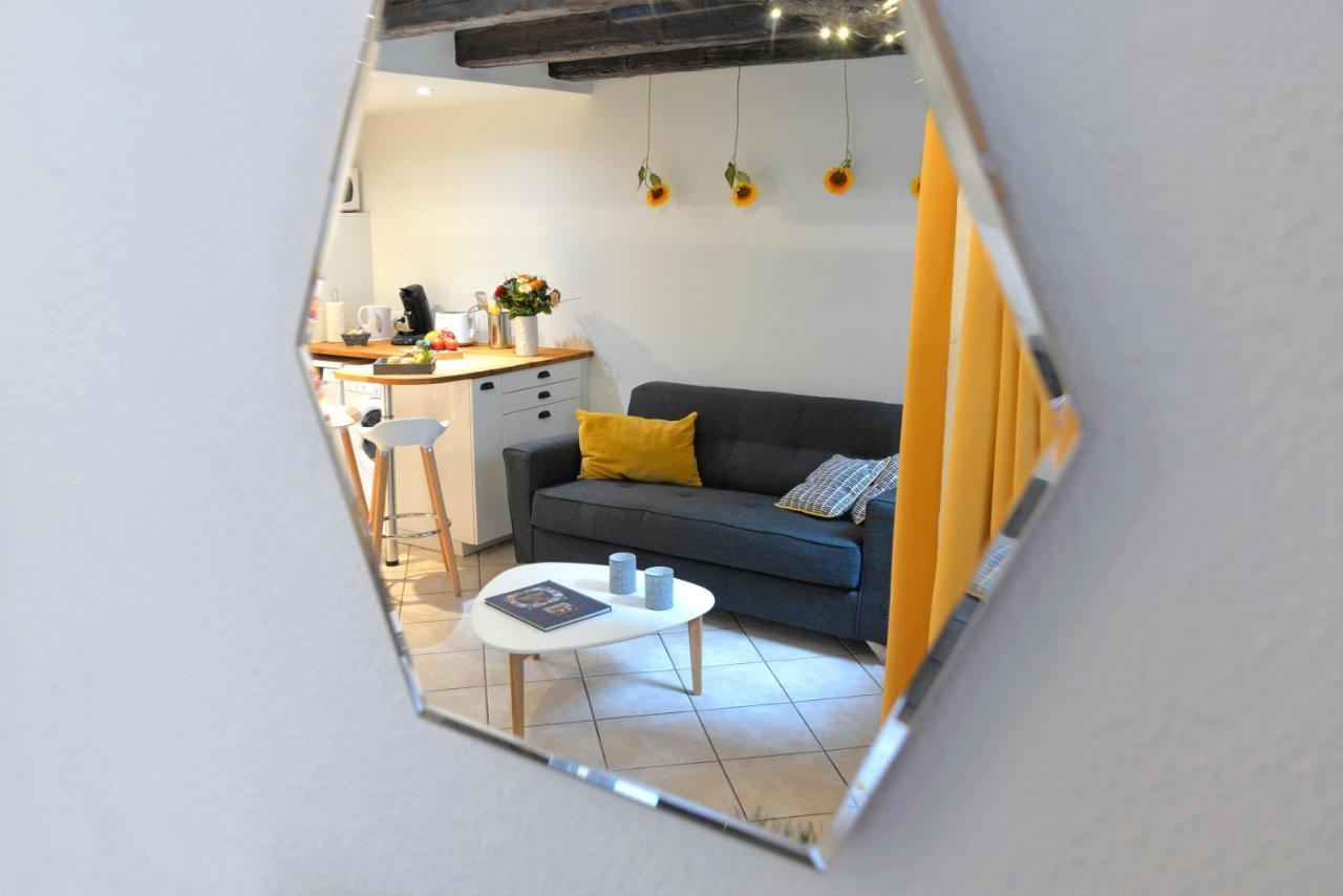 קולמר Appartement La Terrasse Sur Cour מראה חיצוני תמונה